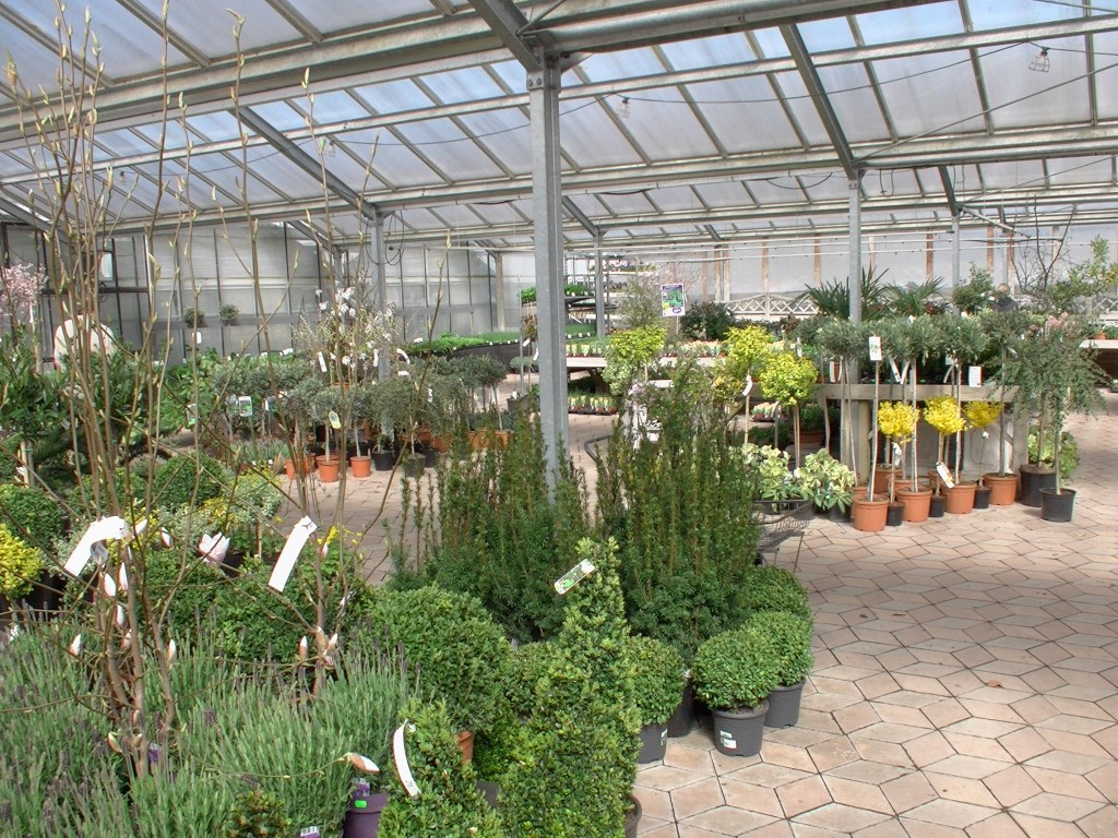Billedserie fra Planteforum Ringsted