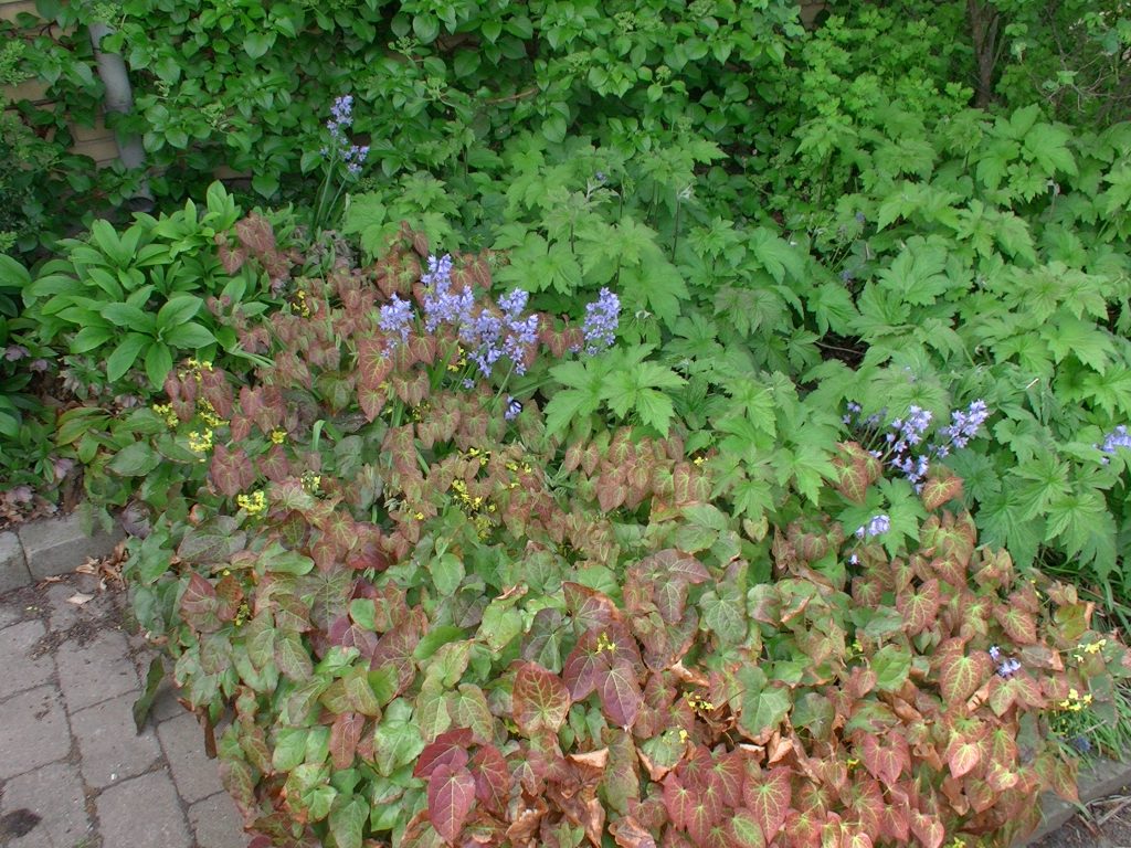 Haven 16. maj 2016
