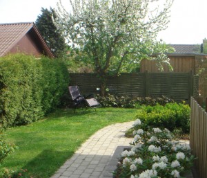 Hvide blomster