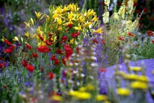 Chelsea Flowershow