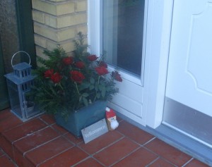 jul i haven (2)