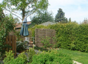 Pilehegn ved terrassen